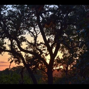 Meet your Posher, Aubra